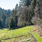 Unterfalkenhof Vakantieboerderij *