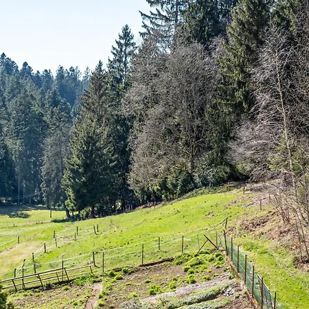 Unterfalkenhof Alloggio per agriturismo *